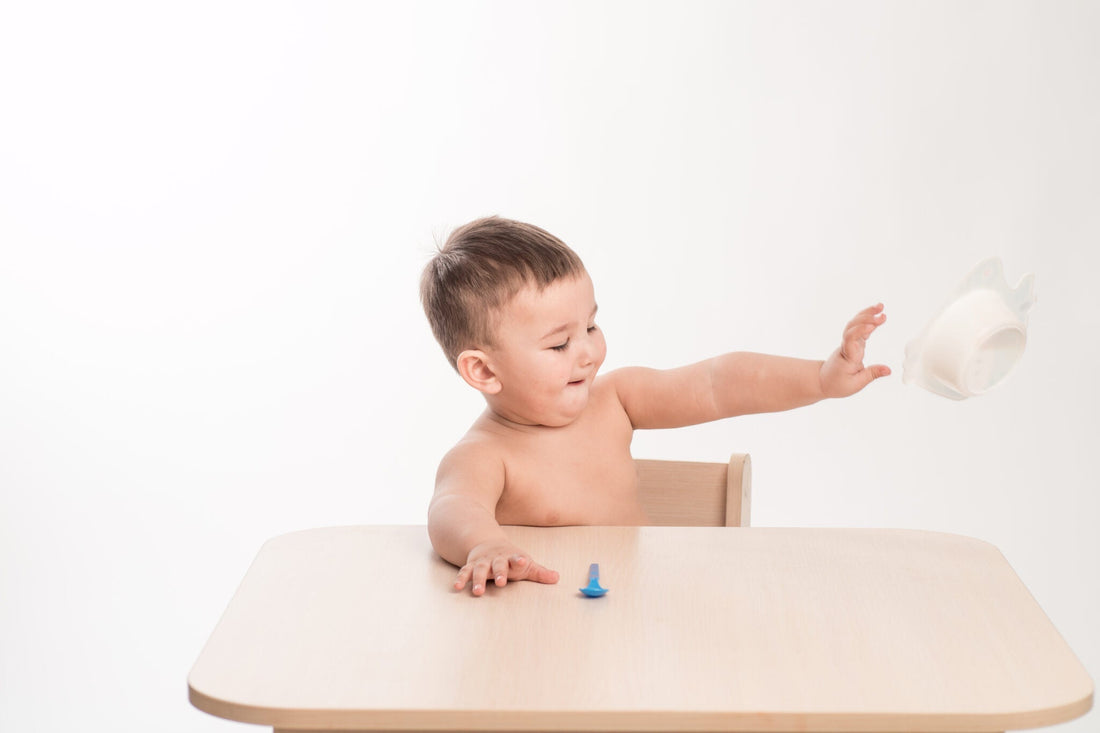 Why Babies Throw Things: A Healthy Sign of Growth - Zezebaebae