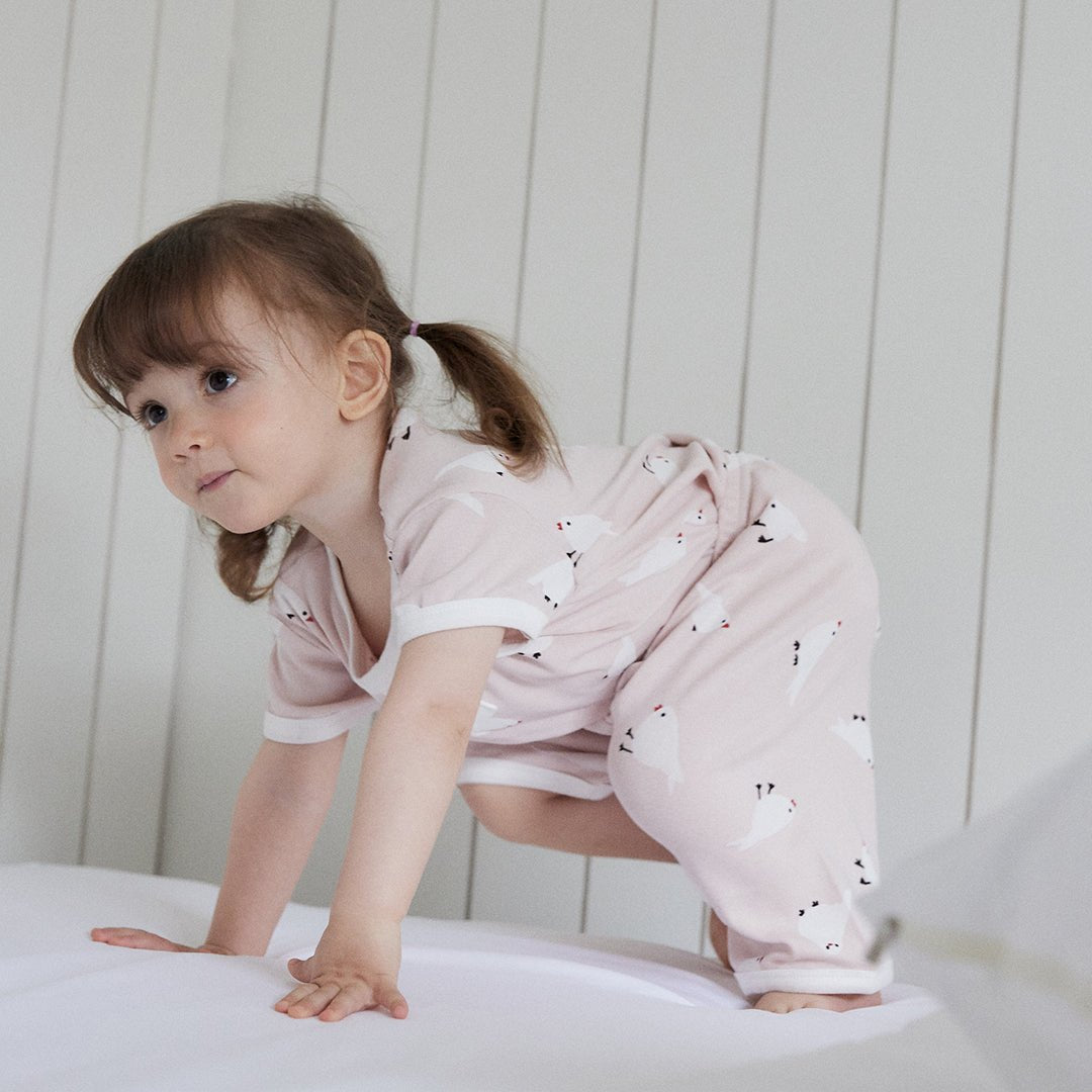 BabyRabbit Little Bird Short Sleeve & Crop Pants Set - Zezebaebae