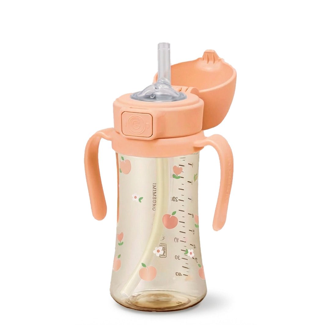 Grosmimi PPSU Straw Cup with Flip Top - 10oz (12 Months+) Stage 2 Straw - Zezebaebae
